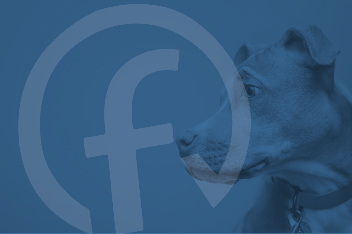 Blue background with a white Fresh Check f in a circle to the left and a dog to the right