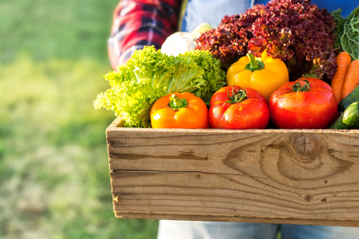 The Harvest Food Hub San Juan College wooden box with fresh produce inside, red tomatoes, lettuce, orange and yellow bell peppers