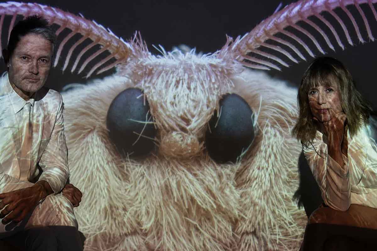 Moth Project - a moth with two individuals under the wings