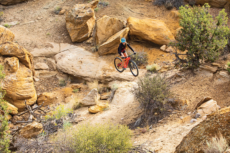 Person on their bike at the SJC Bike Park