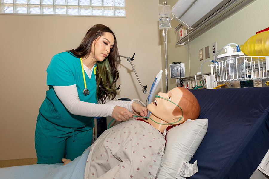 An SJC Physical Therapist Assistant student studying in the Simulation Center